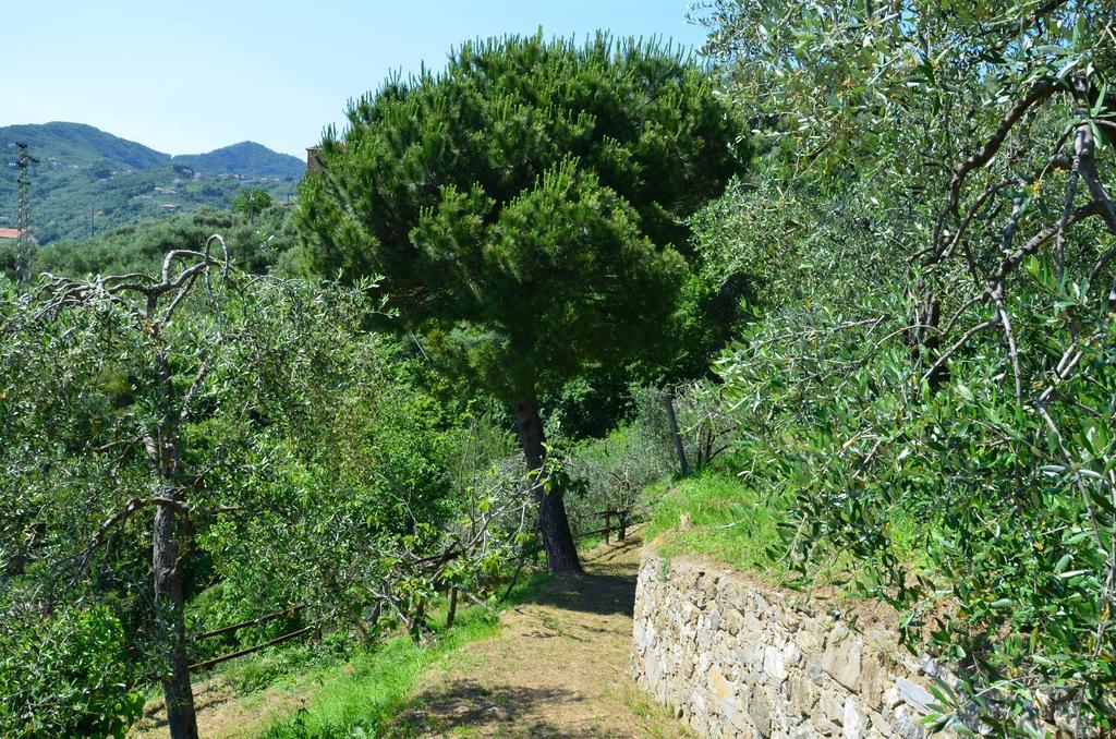 Villa Delle Rose Chiavari Extérieur photo